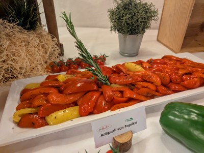 PXL 20250517 144914543